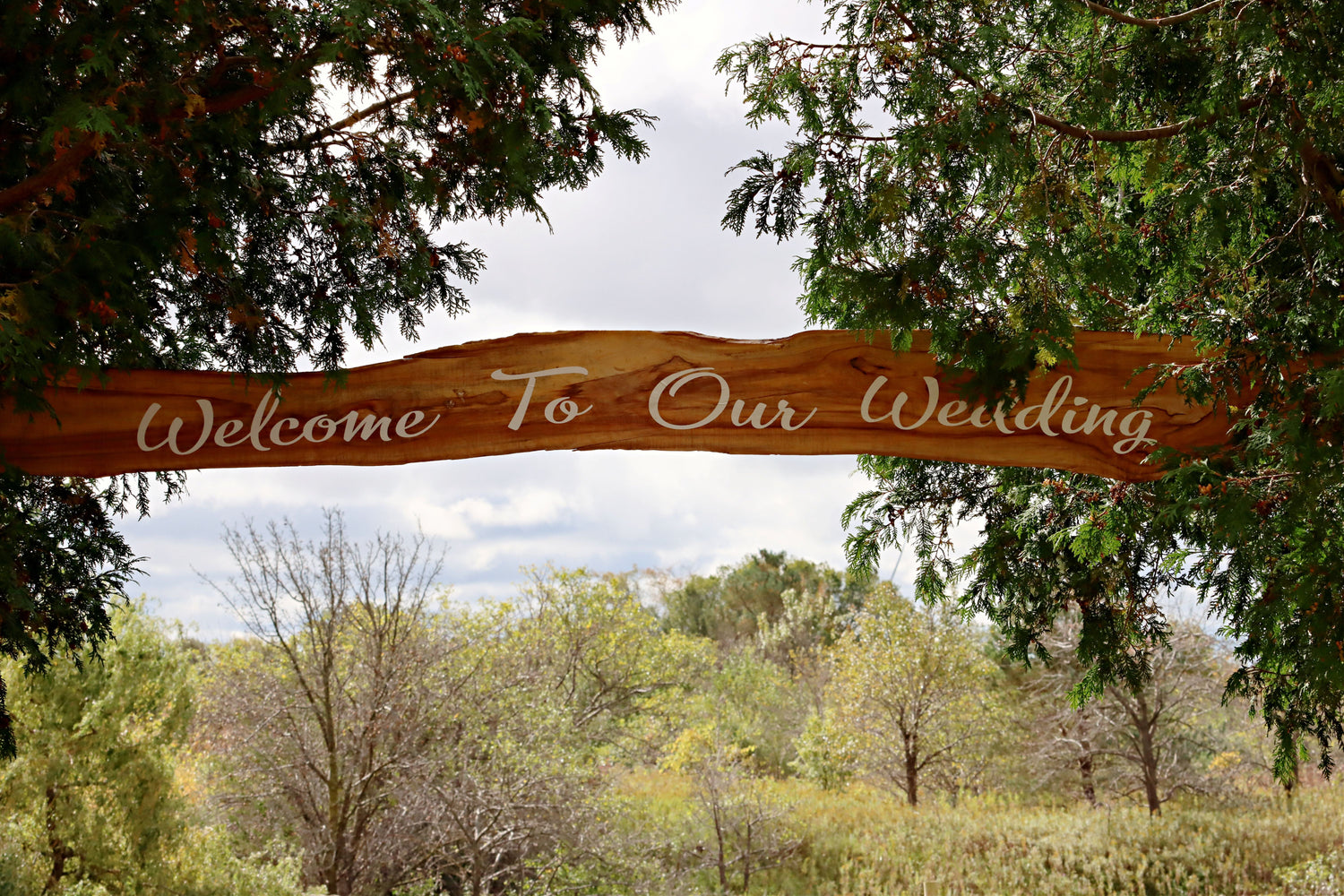 Wedding and Events