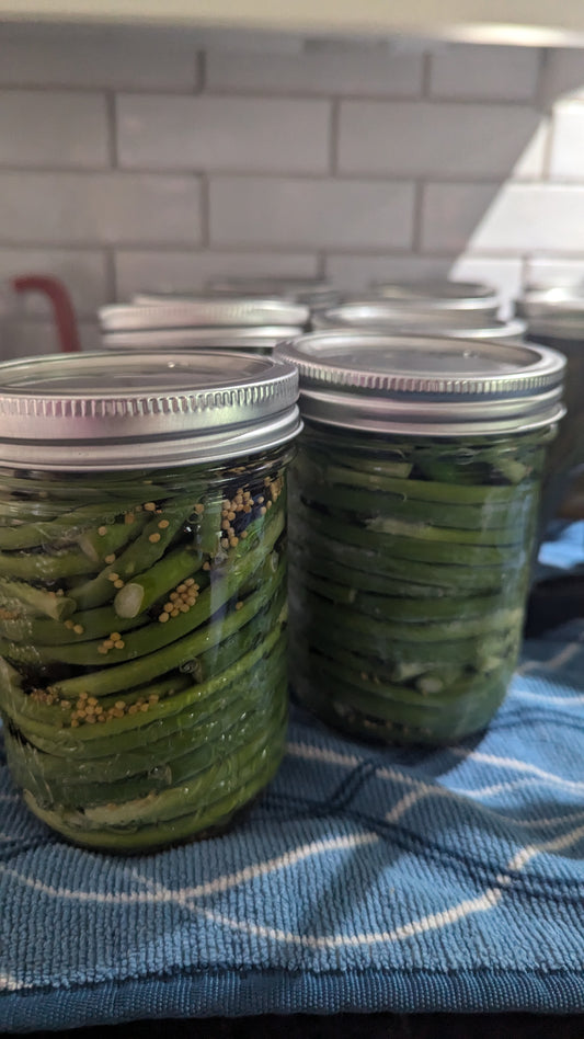 Sweet Pickled Garlic Scapes